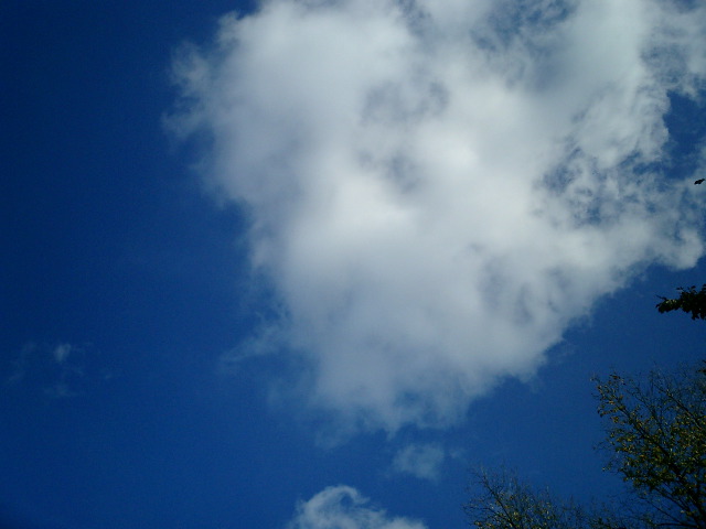 blue skies