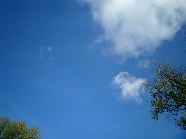 blue skies?