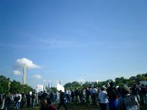 Birds flock across rally